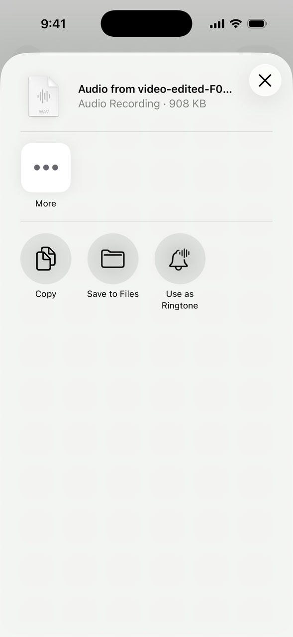 The iPhone share sheet after exporting from Pluck: Save to Files sends audio to iCloud Drive